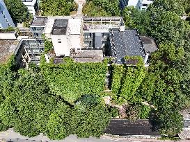 Creepers Occupy Library Wall at A University in Guiyang