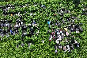 A Scrap Point For Discarded Motor Vehicles in Nanjing