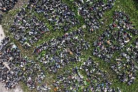 A Scrap Point For Discarded Motor Vehicles in Nanjing