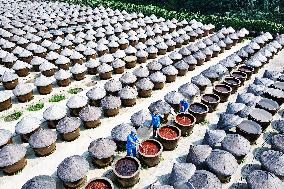 An Old Soysauce Natural Drying Sauce Shop in Rugao