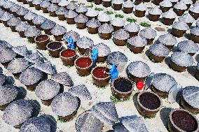 An Old Soysauce Natural Drying Sauce Shop in Rugao