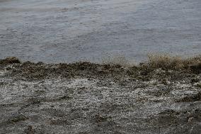 Qiantang River Tide