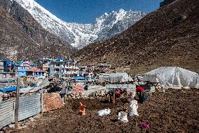 Kyanjin Gompa Village At The Himalayas Mountains