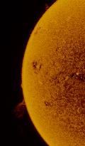 Solar Activity Captured in H-Alpha Filter