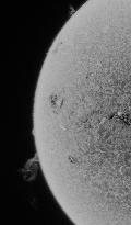 Solar Activity Captured in H-Alpha Filter