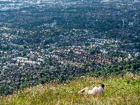 Cave Hill Trail, In Belfast Northern Ireland.