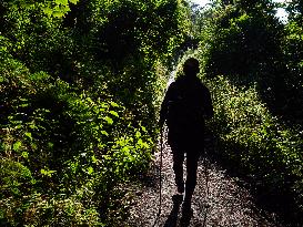 Cave Hill Trail, In Belfast Northern Ireland.