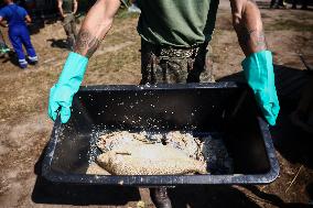 Mass Fish Die Off In Poland