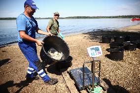 Mass Fish Die Off In Poland