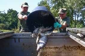 Mass Fish Die Off In Poland