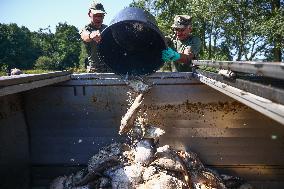 Mass Fish Die Off In Poland