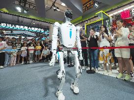 World Robot Conference 2024 in Beijing