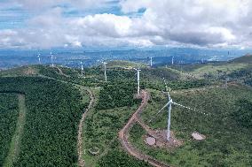 Wind Farm in Zhangjiakou