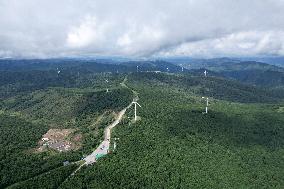 Wind Farm in Zhangjiakou