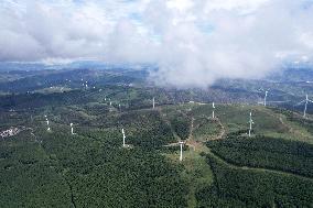 Wind Farm in Zhangjiakou