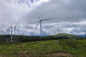 Wind Farm in Zhangjiakou