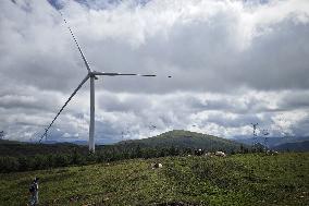 Wind Farm in Zhangjiakou