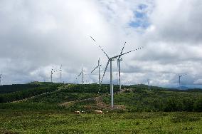 Wind Farm in Zhangjiakou