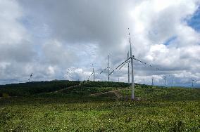 Wind Farm in Zhangjiakou