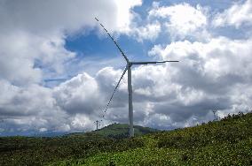 Wind Farm in Zhangjiakou