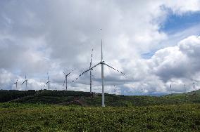 Wind Farm in Zhangjiakou