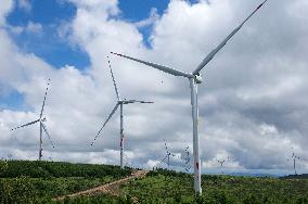 Wind Farm in Zhangjiakou