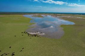 Kuitun Reservoir Scenery in Xinjiang