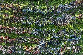 A Huge Abandoned Bike-sharing Yard in Nanjing