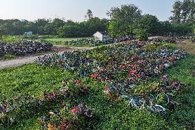 A Huge Abandoned Bike-sharing Yard in Nanjing