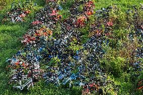 A Huge Abandoned Bike-sharing Yard in Nanjing