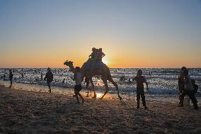 Displaced Palestinians Cool Off Seaside - Gaza