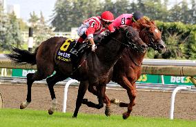 The 165th Running Of The King's Plate At Woodbine Racetrack