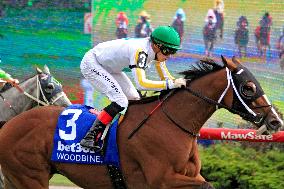 The 165th Running Of The King's Plate At Woodbine Racetrack