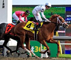 The 165th Running Of The King's Plate At Woodbine Racetrack