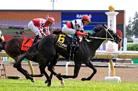 The 165th Running Of The King's Plate At Woodbine Racetrack