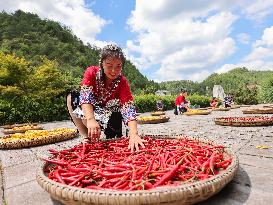 Farmers Dry Crops