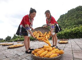 Farmers Dry Crops