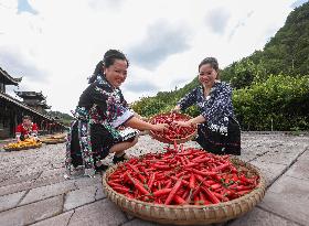 Farmers Dry Crops