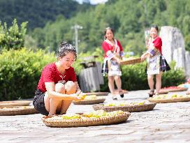 Farmers Dry Crops