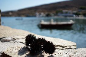 Tourism In Cyclades Islands, Greece.