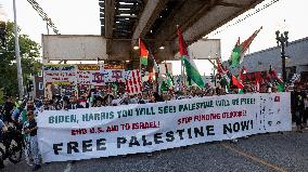 Pro-Palestine March On DNC, Chicago