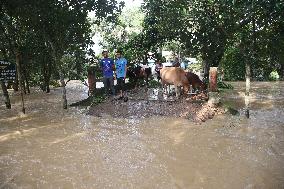 Deadly Floods Strike Troubled Bangladesh