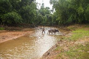 Drinking Water Crisis In Bangladesh