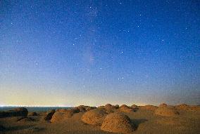 Starry Sky Over Egypt