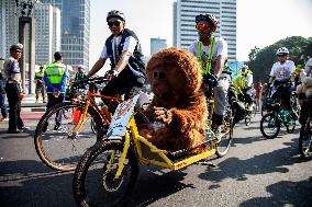 World Orangutan Day 2024 Commemoration In Jakarta