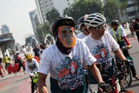 World Orangutan Day 2024 Commemoration In Jakarta