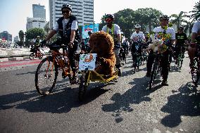 World Orangutan Day 2024 Commemoration In Jakarta