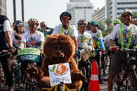 World Orangutan Day 2024 Commemoration In Jakarta