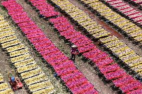 A Fragrance Making Enterprise in Quanzhou