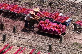 A Fragrance Making Enterprise in Quanzhou